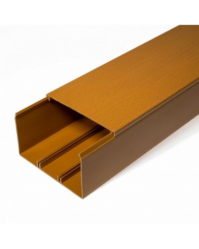 Кабель-канал бук 2-й замок 100х60 (16м/уп) Промрукав (PR.025447) в Рубцовске Огнестойкие кабельные линии Pintop.ru