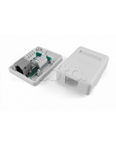 Розетка компьютерная RJ-45(8P8C) Hyperline SB1-1-8P8C-C5e-SH-WH в Рубцовске Розетки компьютерные и телефонные Pintop.ru