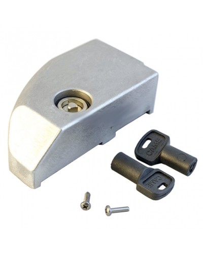 Дверца замка разблокировки BK Came 119RIBK012 в Рубцовске Запчасти для шлагбаумов и автоматики Pintop.ru