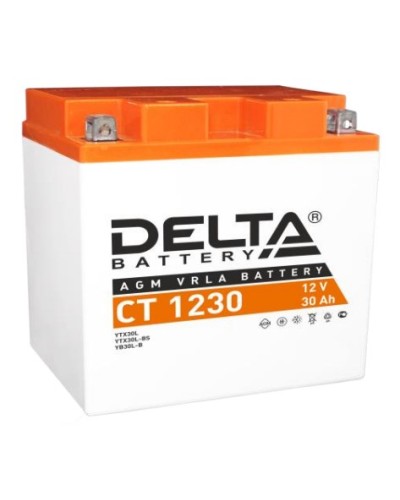 Аккумулятор АКБ 12 - 30 Delta CT 1230 в Рубцовске Электротехническое оборудование Pintop.ru