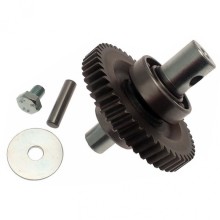 Шестерня редуктора FAST в сборе Came 119RID229
