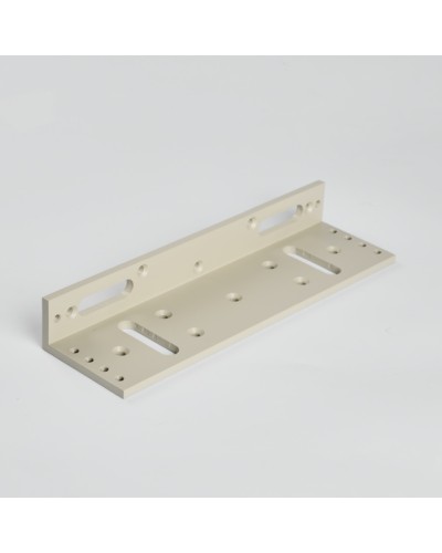 Монтажный аксеcсуар R-Lock RL-BR500-LG в Рубцовске Дополнительное оборудование для СКУД Pintop.ru