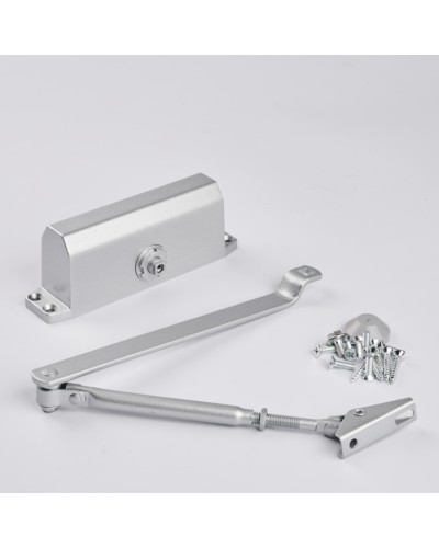 Доводчик R-Lock RL-DCM-EN3-00S в Рубцовске Доводчики Pintop.ru