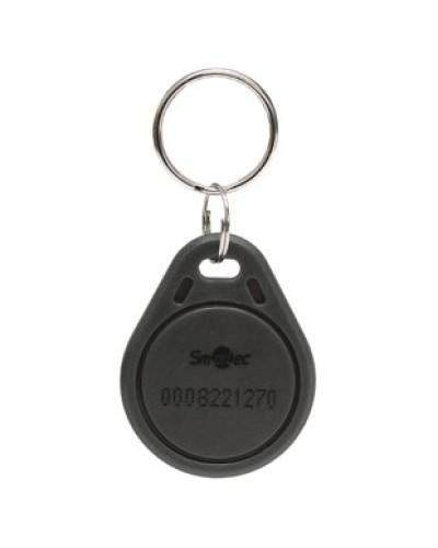 Брелок EmMarin Smartec ST-PT011EM-GR в Рубцовске Оптовые идентификаторы Pintop.ru