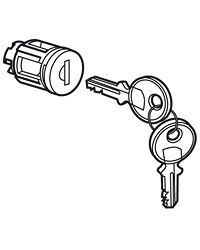 Цилиндр встроенный под ключ №405 Legrand 020291 в Рубцовске Дополнительное оборудование для сетей Pintop.ru