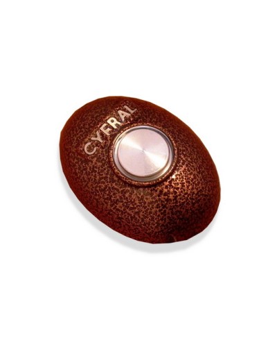 Кнопка открывания двери Цифрал КОДсП-4 в Рубцовске Многоабонентные устройства Pintop.ru