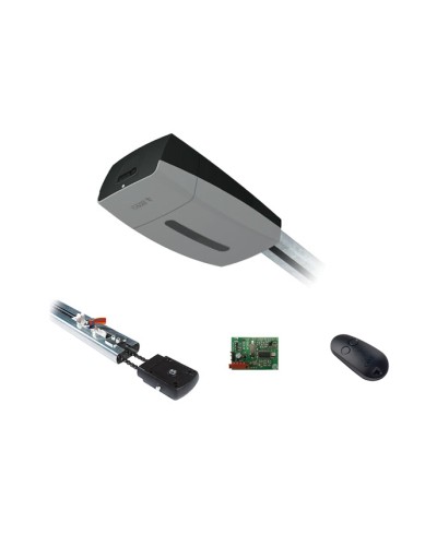 Came V10DMS3.25 KIT (до 3,25 м до 18 м2) - Комплект автоматики для секционных ворот высотой до 2,7 м на основе привода VER10DMS в Рубцовске Автоматизация ворот Pintop.ru