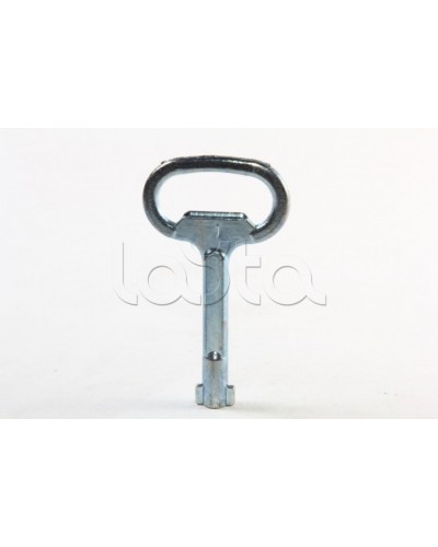 Металлический ключ с двойной бородкой 3мм DKC R5CE230 в Рубцовске Крепежные изделия Pintop.ru