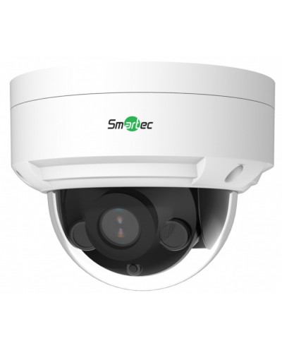 IP-видеокамера Smartec STC-IPM5506A/1 в Рубцовске IP-камеры Pintop.ru