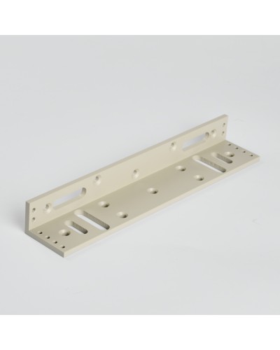 Монтажный аксеcсуар R-Lock RL-BR280-LG в Рубцовске Дополнительное оборудование для СКУД Pintop.ru