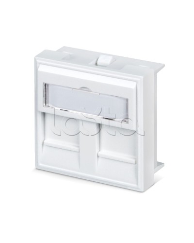 Вставка 45x45 (аналог Mosaic) для 2 модулей формата Keystone Jack Cabeus FP-45-2M в Рубцовске Модули Keystone Pintop.ru