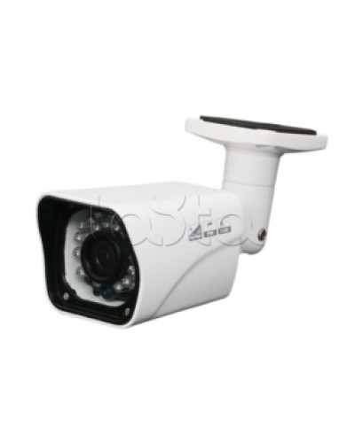 Камера видеонаблюдения в стандартном исполнении EverFocus ACE-ABB20XHD в Рубцовске Аналоговые камеры Pintop.ru