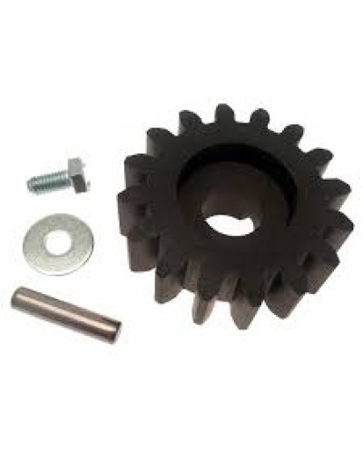 Шестерня для цепной передачи Came 119RIBK036 в Рубцовске Запчасти для шлагбаумов и автоматики Pintop.ru