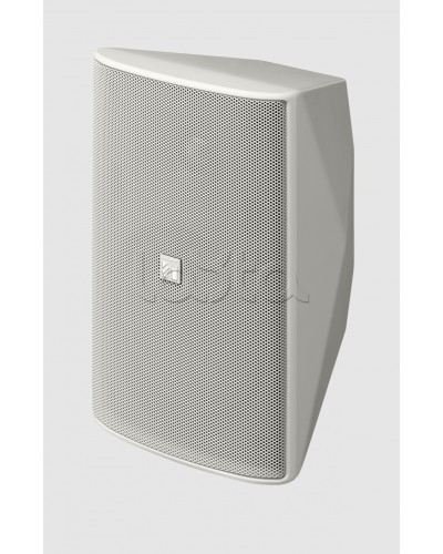 Громкоговоритель 2 полосный TOA F-1300WT в Рубцовске Системы оповещения и трансляции TOA Pintop.ru