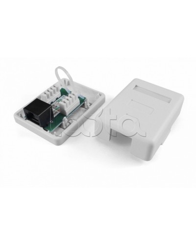 Розетка компьютерная RJ-45(8P8C) Hyperline SB1-2-8P8C-C6-SH-WH в Рубцовске Розетки компьютерные и телефонные Pintop.ru