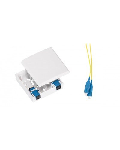 Розетка оптическая NIKOMAX NMF-WO02SCUS2-CS-WT в Рубцовске Кроссы оптические Pintop.ru