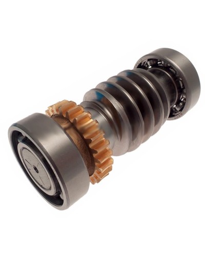 Червяк FROG Came 119RIA016 в Рубцовске Запчасти для шлагбаумов и автоматики Pintop.ru