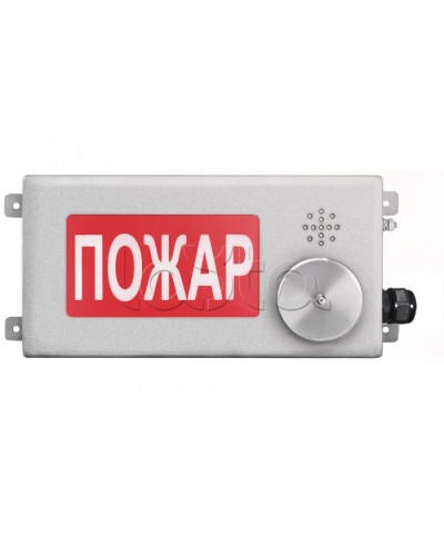Табло светозвуковое взрывозащищенное Спектрон ТСЗВ-Exm-Н-Прометей-МИНИ 220В в Рубцовске Оповещатели Ex Pintop.ru