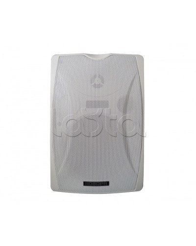 IP-громкоговоритель DSPPA POE-6463W в Рубцовске Система оповещения и трансляции Dsppa Pintop.ru