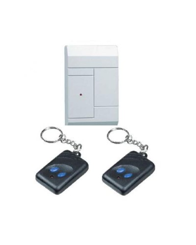 Комплект приёмник RR-1R + 2 брелока RFG-1 Альтоника Риф Ринг RR-1 в Рубцовске Радиоканальные системы безопасности Pintop.ru