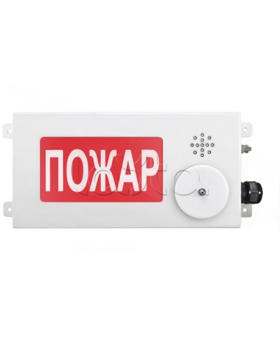 Табло светозвуковое взрывозащищенное Спектрон ТСЗВ-Exm-М-Прометей-МИНИ 220В в Рубцовске Оповещатели Ex Pintop.ru