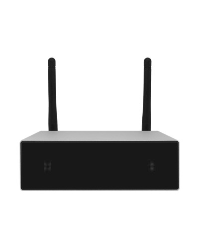 Усилитель потоковой передачи WIFI DSPPA DW-0250 в Рубцовске Система оповещения и трансляции Dsppa Pintop.ru