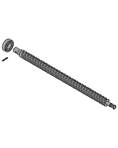 Винт ходовой AX302304, AX3024, АХ402306, AX412306 Came 119RID319 в Рубцовске Запчасти для шлагбаумов и автоматики Pintop.ru