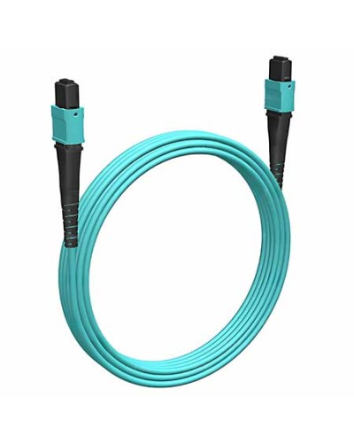 Кабельная сборка MPO(F) -MPO(F)-12 волокон 50/125 OM3, 1 m Cabeus (FOP-50-OM3-12-MPO(F)-12-MPO(F)-B-1m) в Рубцовске Кабельные сборки (оптические) Pintop.ru