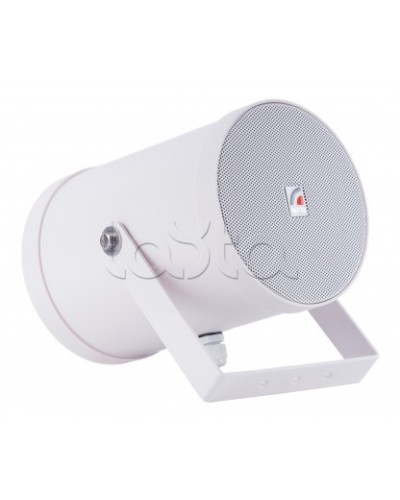 Двунаправленный Прожектор звуковой ROXTON SW-10T2 в Рубцовске Система оповещения и трансляции Roxton Pintop.ru