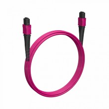 Кабельная сборка MPO(F) -MPO(F)-12 волокон 50/125 OM4, 1 m Cabeus (FOP-50-OM4-12-MPO(f)-12-MPO(f)-B-1m)