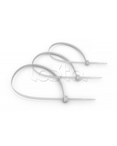 Стяжка нейлоновая неоткрывающаяся, безгалогенная (halogen free) 100x2.5мм, (100 шт) Cabeus CT-100 в Рубцовске Аксессуары для кабель-канала Pintop.ru