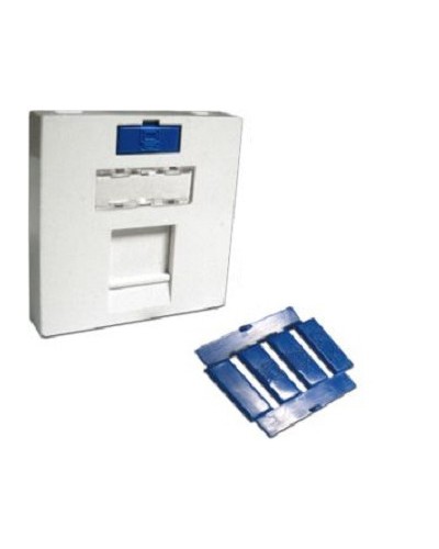 Вставка 45x45 на 1 кейстоун, угловая, со шторкой, маркировкой и иконками, белая LANMASTER LAN-SIP-23A-WH в Рубцовске Аксессуары для кабель-канала Pintop.ru