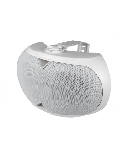 Громкоговоритель настенный 2-х полосный VOLTA ELLIPSE-2440TW в Рубцовске Система оповещения и трансляции Volta Pintop.ru