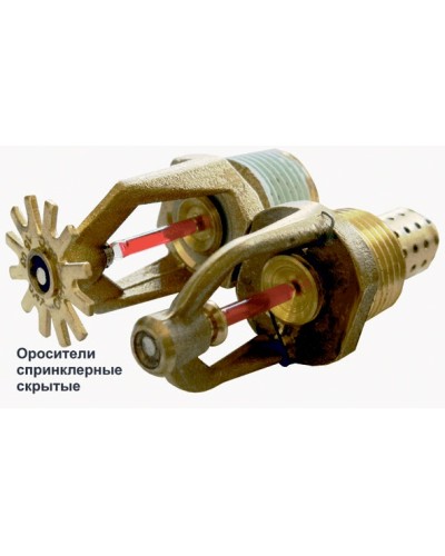 Ороситель спринклерный скрытый Спецавтоматика СВК0-РНо 0,42-R1/2/Р57.В3-SSP-К80  с резьб. герм. в Рубцовске Оросители Pintop.ru