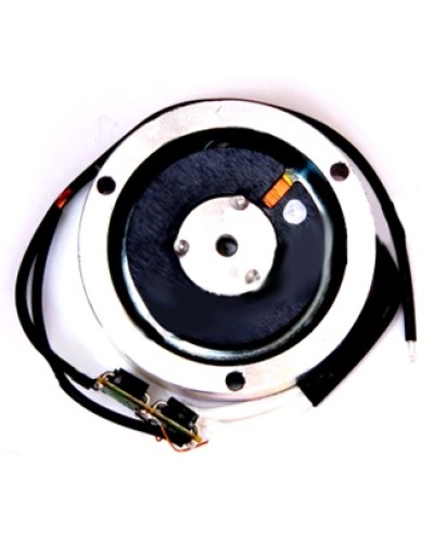 Электромагнит BY1500T Came 119RIY034 в Рубцовске Запчасти для шлагбаумов и автоматики Pintop.ru