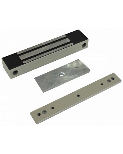 Электромагнитный влагозащищенный замок AccordTec ML-100K с планкой в Рубцовске Дополнительное оборудование для СКУД Pintop.ru