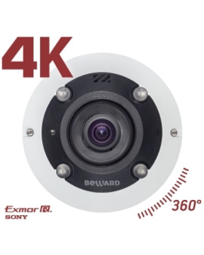 IP камера видеонаблюдения купольная Beward BD3990FL2 в Рубцовске IP-камеры Pintop.ru