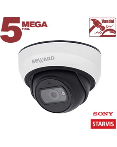 IP-камера видеонаблюдения купольная Beward SV3210DBS в Рубцовске IP-камеры Pintop.ru