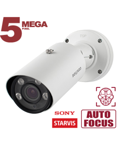 IP-камера видеонаблюдения в стандартном исполнении Beward SV3218RBZ2 в Рубцовске IP-камеры Pintop.ru