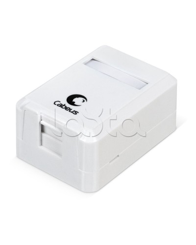 Корпус внешней настенной розетки на 1 Keystone Cabeus MB-1 в Рубцовске Дополнительное оборудование для сетей Pintop.ru