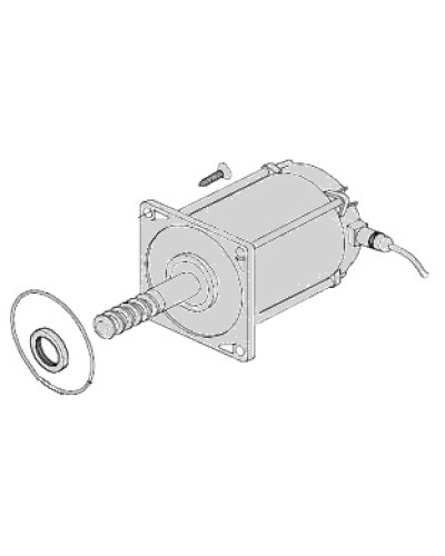 Электродвигатель Came 119RIA025 в Рубцовске Запчасти для шлагбаумов и автоматики Pintop.ru