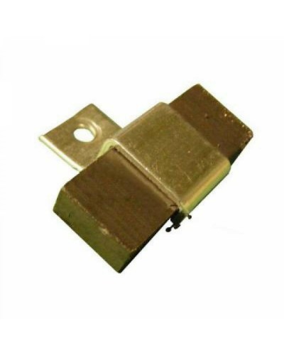 Магнит FROG AE Came 119RIA083 в Рубцовске Запчасти для шлагбаумов и автоматики Pintop.ru