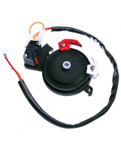 Концевые микровыключатели в сборе BX-243 Came 119RIBX041 в Рубцовске Запчасти для шлагбаумов и автоматики Pintop.ru