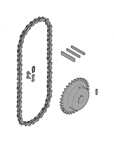 Передающая система (цепь и звездочки) C005 Came 119RICX016 в Рубцовске Запчасти для шлагбаумов и автоматики Pintop.ru