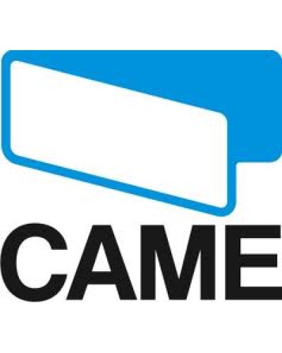 Каретка концевых выключателей Came 119RID202 в Рубцовске Запчасти для шлагбаумов и автоматики Pintop.ru