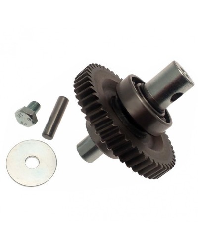 Шестерня редуктора FAST в сборе Came 119RID229 в Рубцовске Запчасти для шлагбаумов и автоматики Pintop.ru