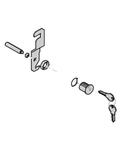 Замок дверцы G4040 G4041 Came 119RIG176 в Рубцовске Запчасти для шлагбаумов и автоматики Pintop.ru