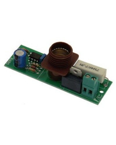 Плата лампы KIARO 24 Came 119RIR030 в Рубцовске Запчасти для шлагбаумов и автоматики Pintop.ru