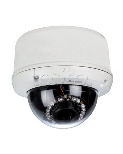 IP-камера видеонаблюдения уличная купольная D-Link DCS-6510/EP в Рубцовске IP-камеры Pintop.ru