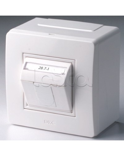 Коробка в сборе с 1 розеткой RJ45, кат.5е (телефон / компьютер), белая DKC 10665 в Рубцовске Распределительные коробки Pintop.ru